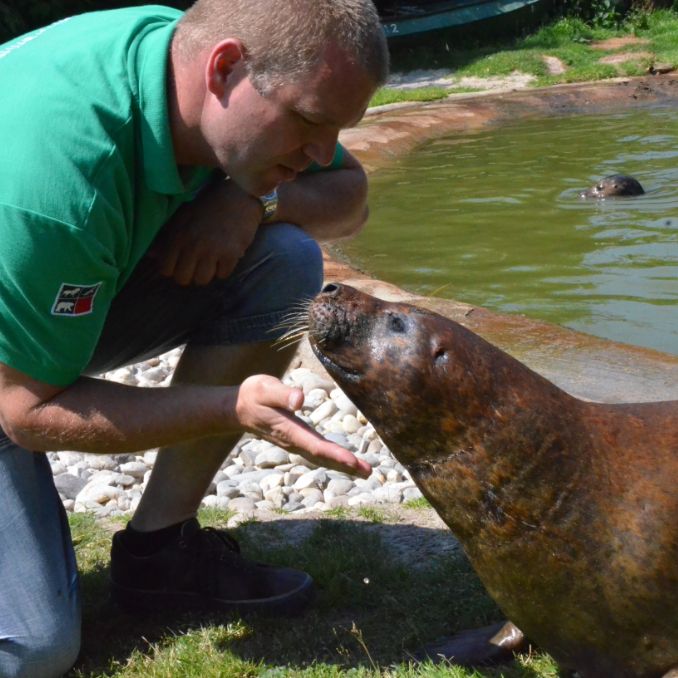 Zeehond Robert van Schie dieren lezingen diergedrag teambuilding