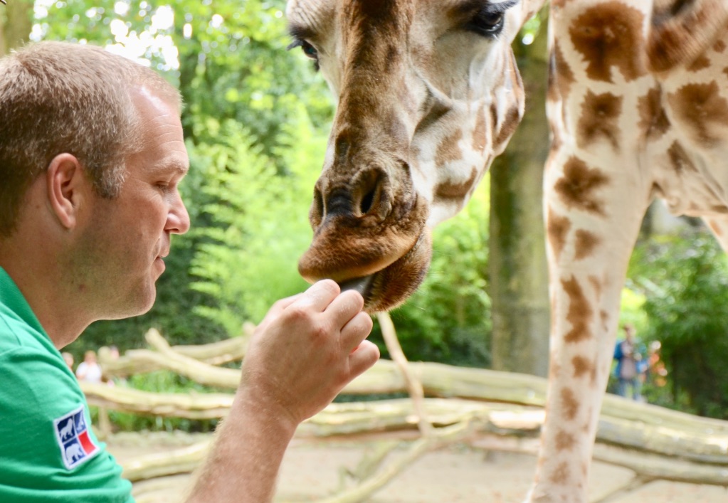 animal consultant, coach for animals,medische training, husbandry training, decensitisatie training, vrijwilliger leren.