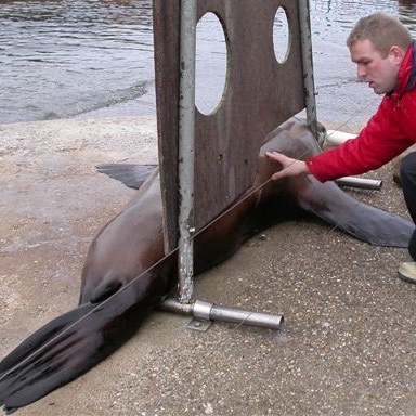 research training onderzoek conservation, natuur behoud