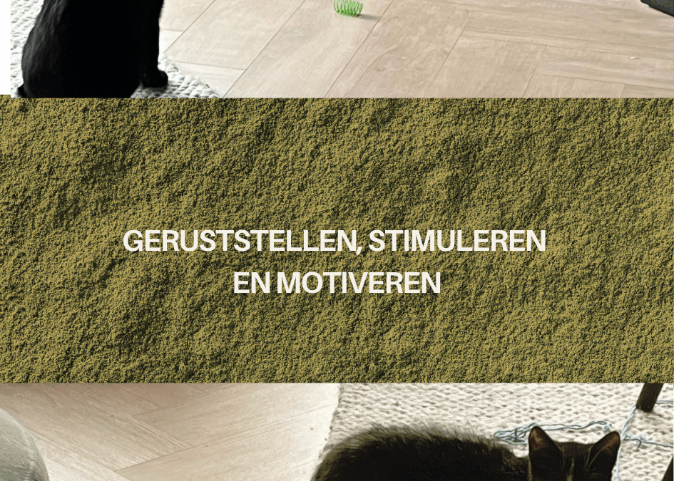 Elkaar geruststellen, motiveren en stimuleren, dat doen niet alleen wij mensen.