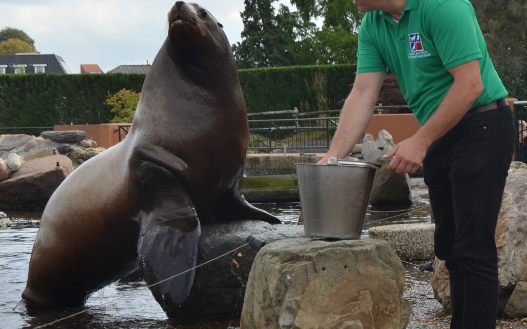 Van aannames naar inzicht. Een les uit dierentraining.