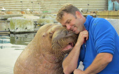 Echt contact. Je team heeft het nodig.