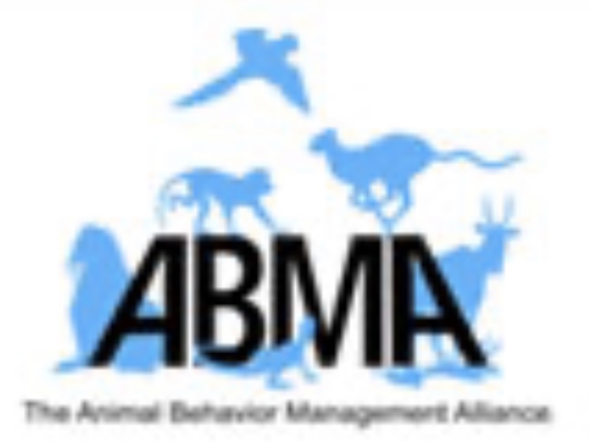 Logo 6